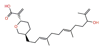 Rhopaloic acid D